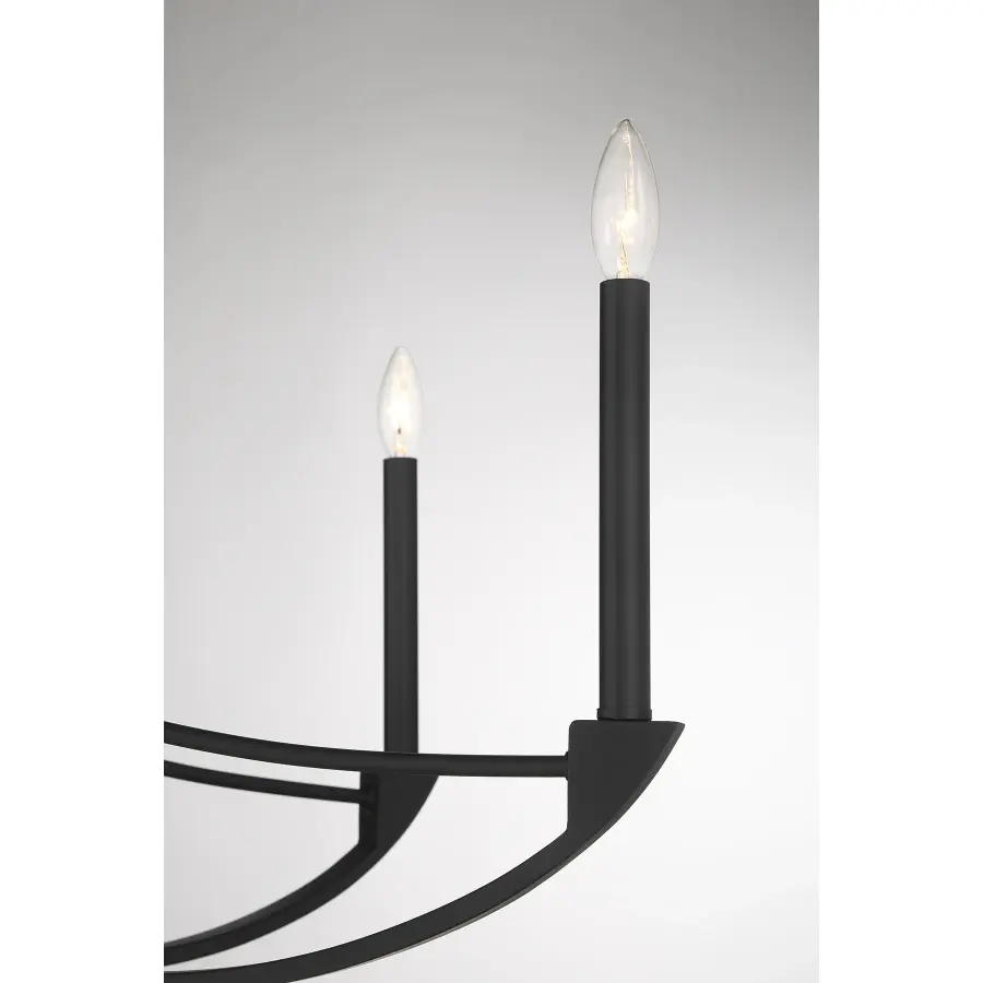 Preserve 8-Light Chandelier in Matte Black - Image 6
