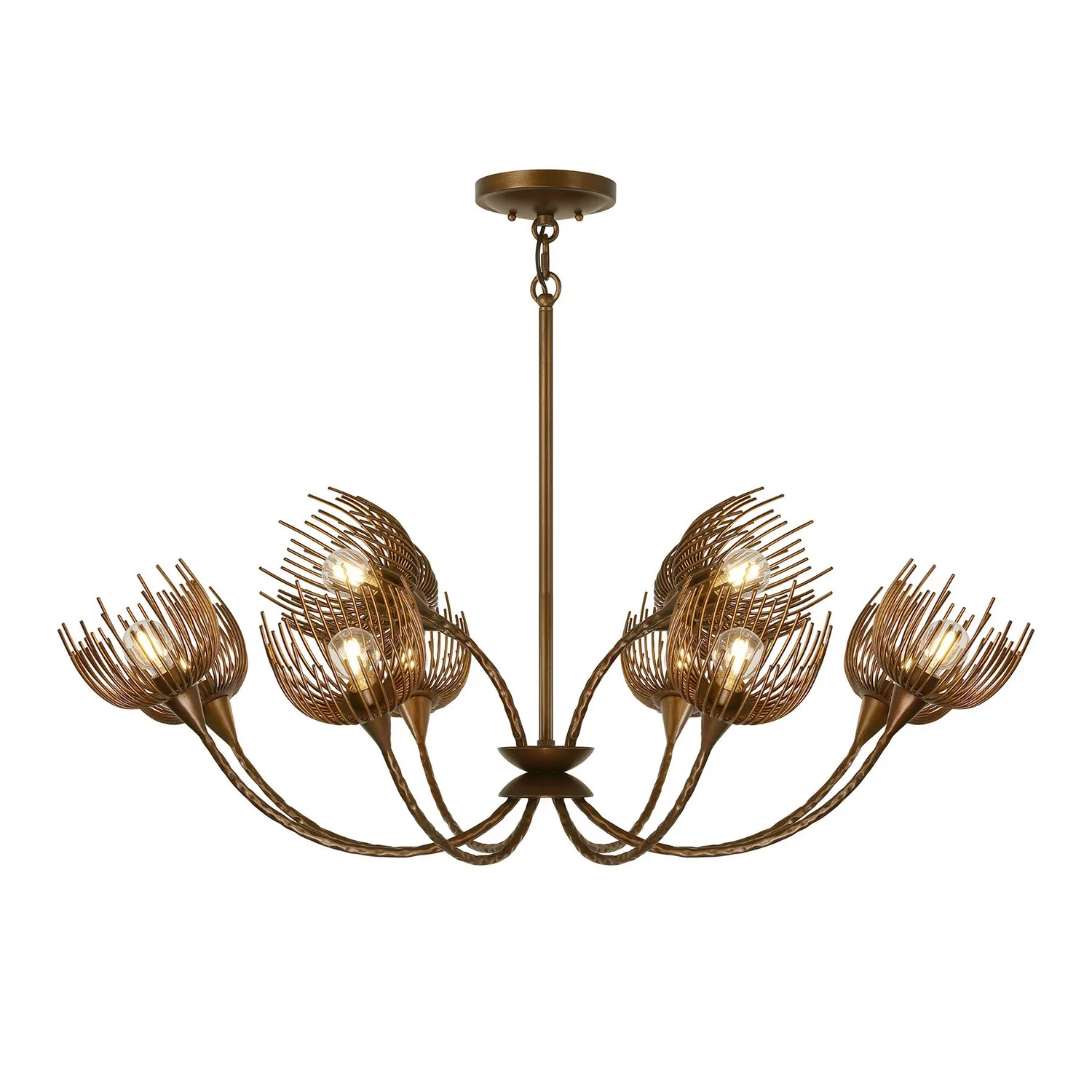 Protea 12-Light Chandelier in Manchester