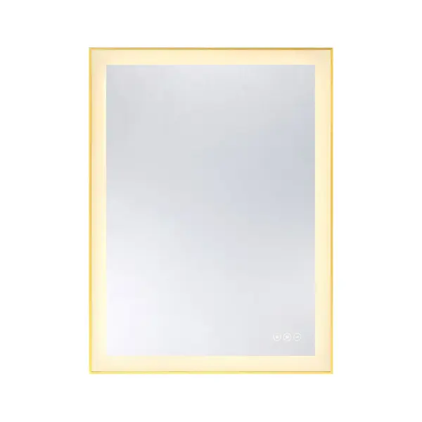 Paulding LED Rectangle Frontlit Mirror with Gold Frame