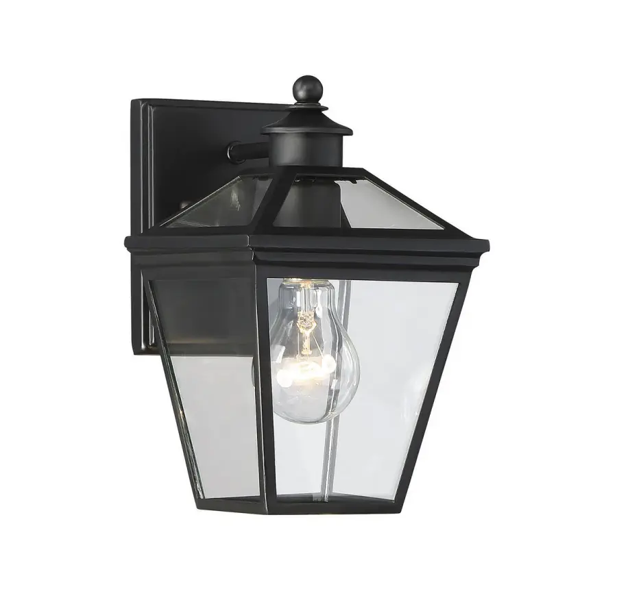 Ellijay 1-Light Outdoor Wall Lantern in Black - Image 1