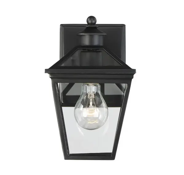 Ellijay 1-Light Outdoor Wall Lantern in Black - alternate view