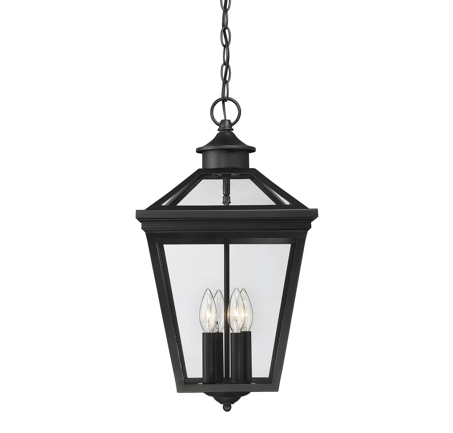 Ellijay Four Light Outdoor Hanging Lantern in Black