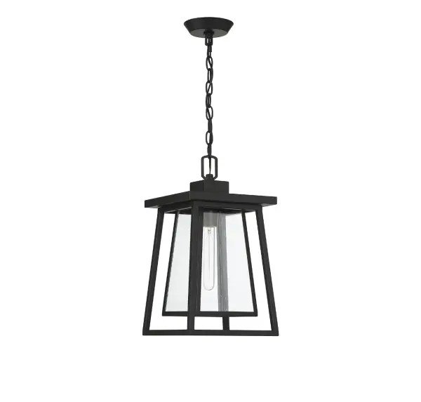 Denver 1-Light Outdoor Hanging Lantern in Matte Black - alternate view