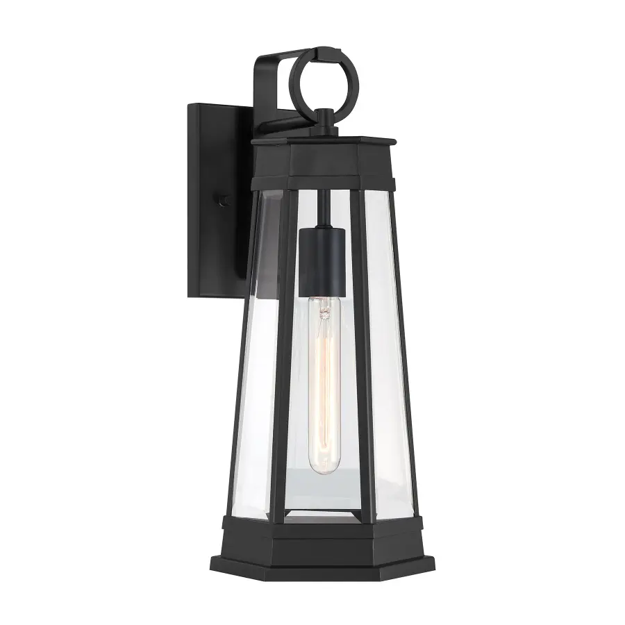 Payne 1-Light Outdoor Wall Lantern in Matte Black - Image 1