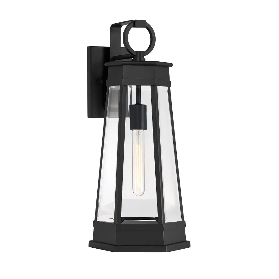 Payne 1-Light Outdoor Wall Lantern in Matte Black - Image 1