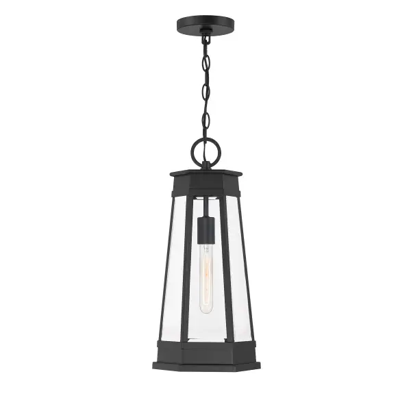 Payne 1-Light Outdoor Hanging Lantern in Matte Black