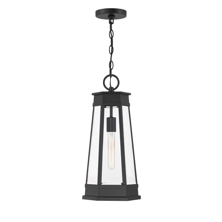 Payne 1-Light Outdoor Hanging Lantern in Matte Black - Image 1