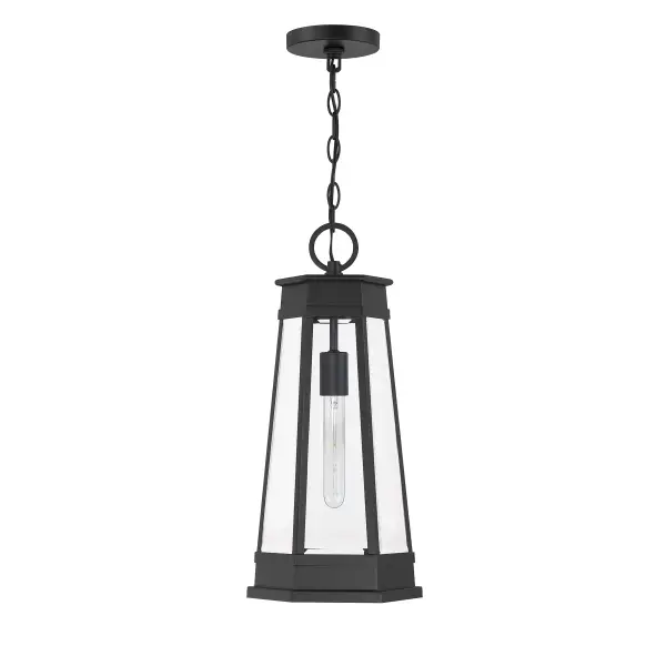 Payne 1-Light Outdoor Hanging Lantern in Matte Black - alternate view