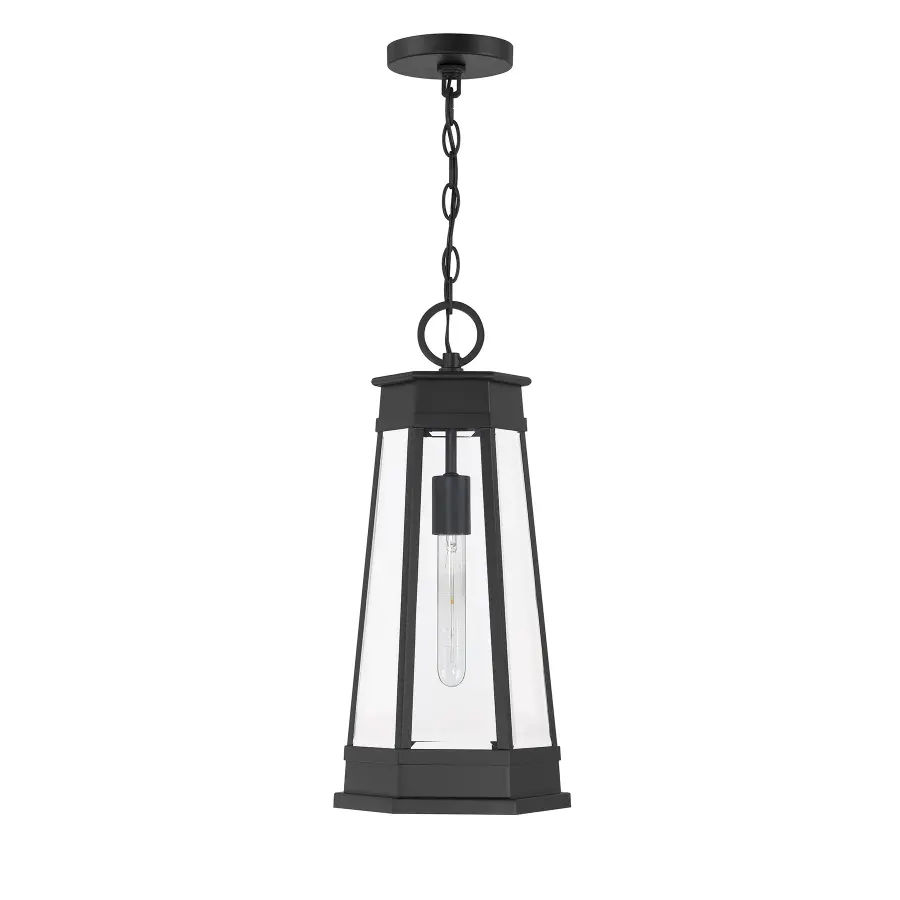 Payne 1-Light Outdoor Hanging Lantern in Matte Black - Image 2