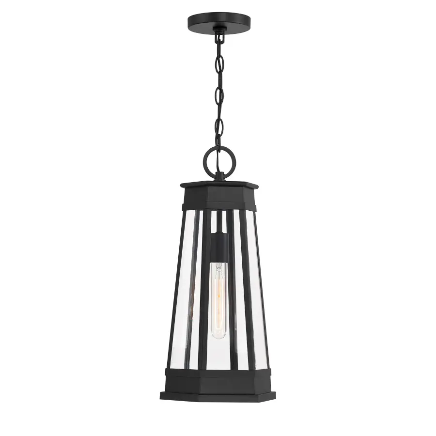 Payne 1-Light Outdoor Hanging Lantern in Matte Black - Image 4