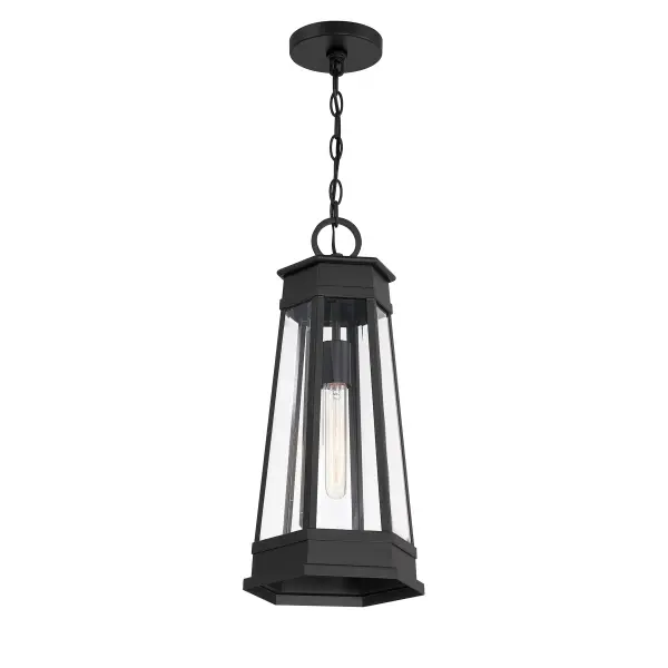 Payne 1-Light Outdoor Hanging Lantern in Matte Black - Image 5