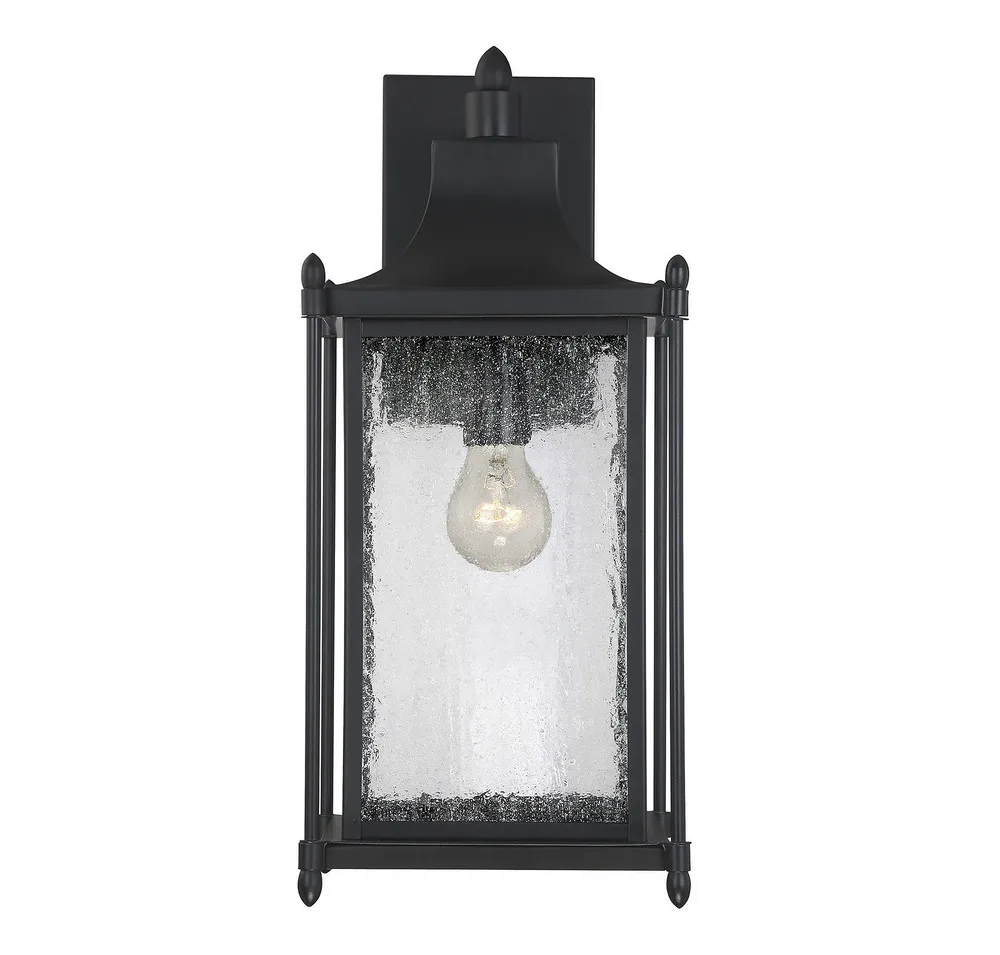 Dunnmore One Light Outdoor Wall Lantern in Black