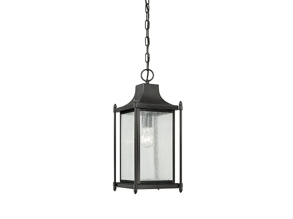 Dunnmore One Light Outdoor Hanging Lantern in Black