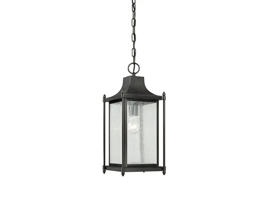 Dunnmore 1-Light Outdoor Hanging Lantern in Black - Image 1