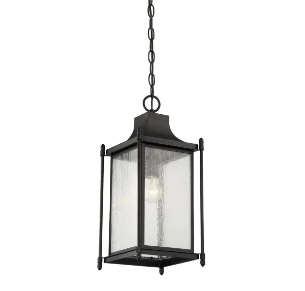 Dunnmore 1-Light Outdoor Hanging Lantern in Black - Image 3