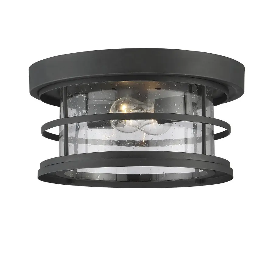 Barrett 2-Light Outdoor Ceiling Light in Black - Image 1