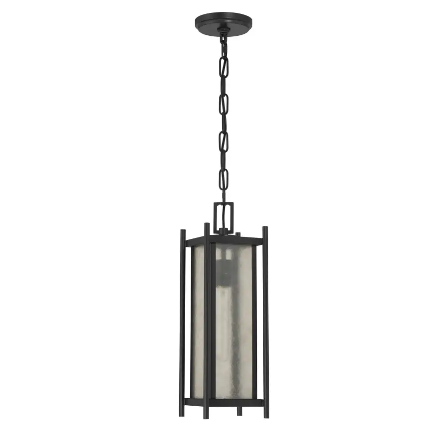 Jacobs 1-Light Outdoor Hanging Lantern in Matte Black - Image 2