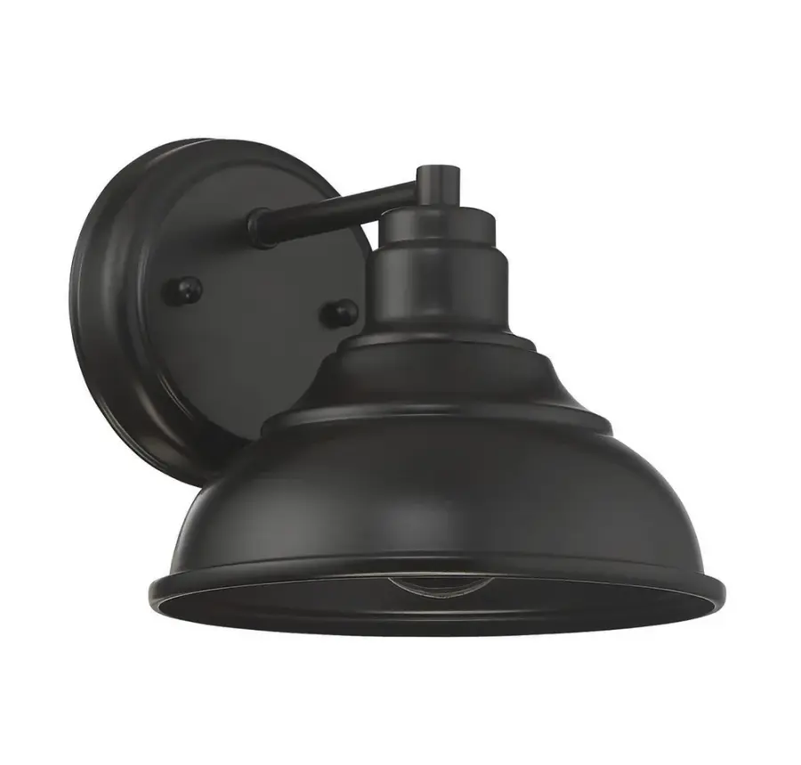 Dunston DS 1-Light Dark Sky Wall Lantern in English Bronze - Image 3