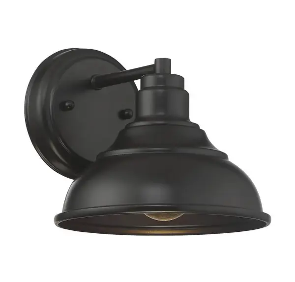 Dunston DS 1-Light Dark Sky Wall Lantern in English Bronze - Image 4