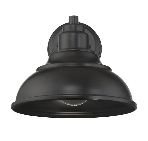 Dunston DS 1-Light Dark Sky Wall Lantern in English Bronze - alternate view