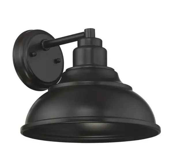 Dunston DS 1-Light Dark Sky Wall Lantern in English Bronze - Image 3