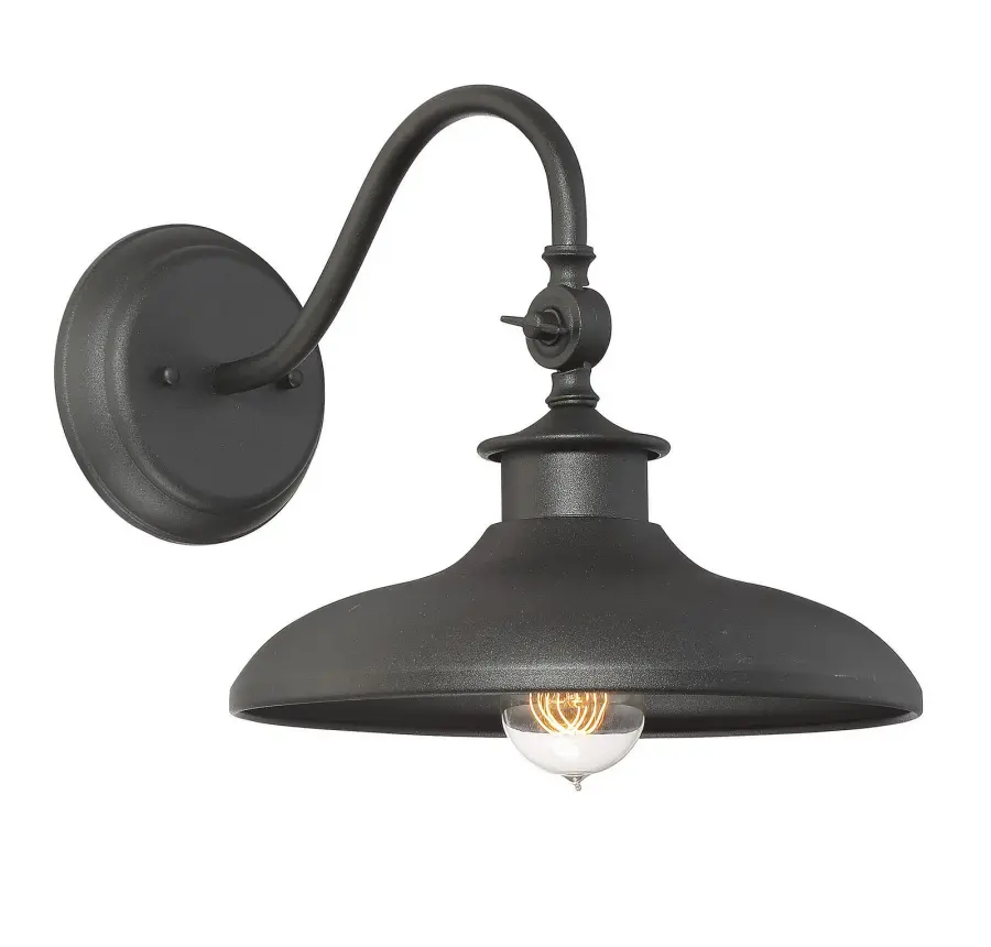 Raleigh 1-Light Outdoor Wall Lantern in Black - Image 1