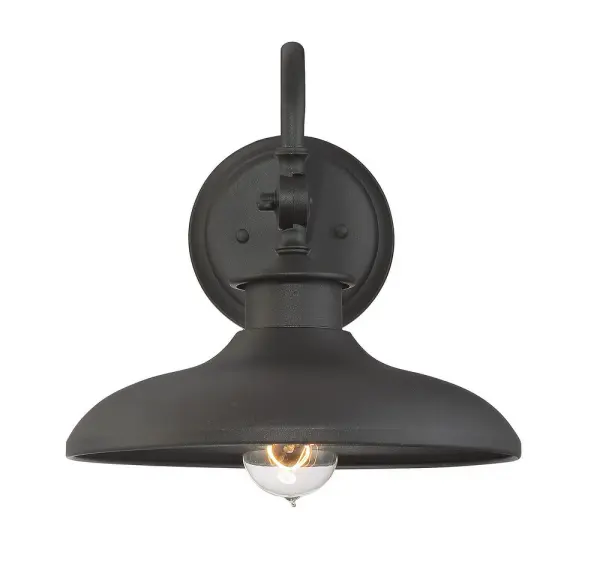 Raleigh 1-Light Outdoor Wall Lantern in Black - alternate view