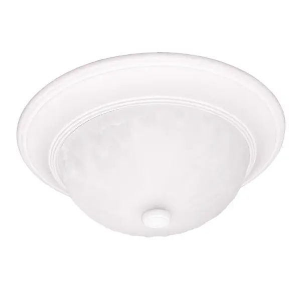 2-Light Ceiling Light in Matte White