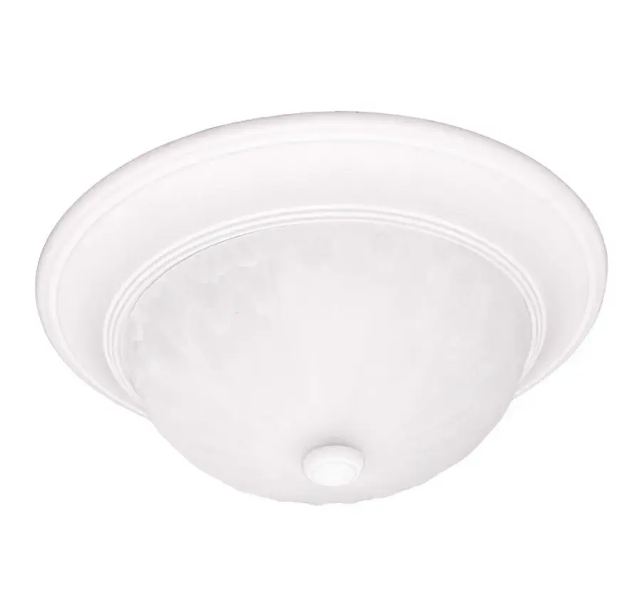 2-Light Ceiling Light in Matte White