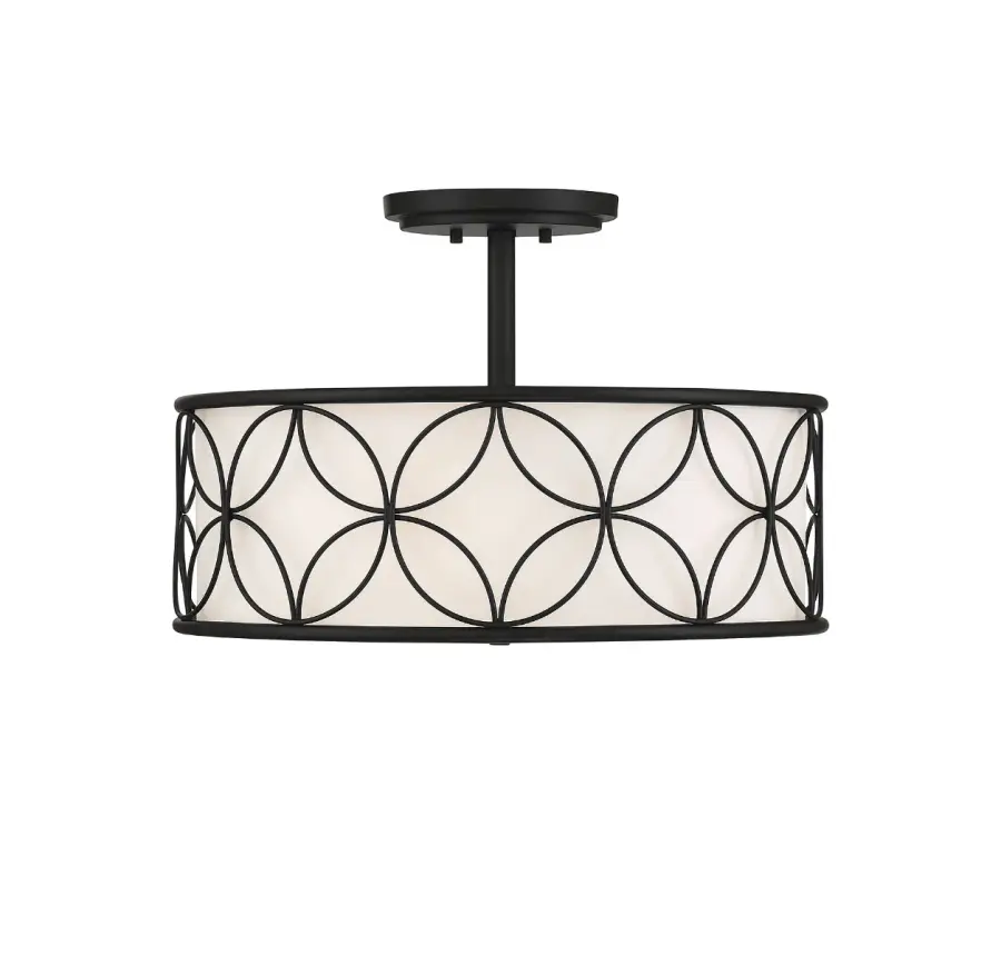 Reid 4-Light Ceiling Light in Matte Black - Image 1