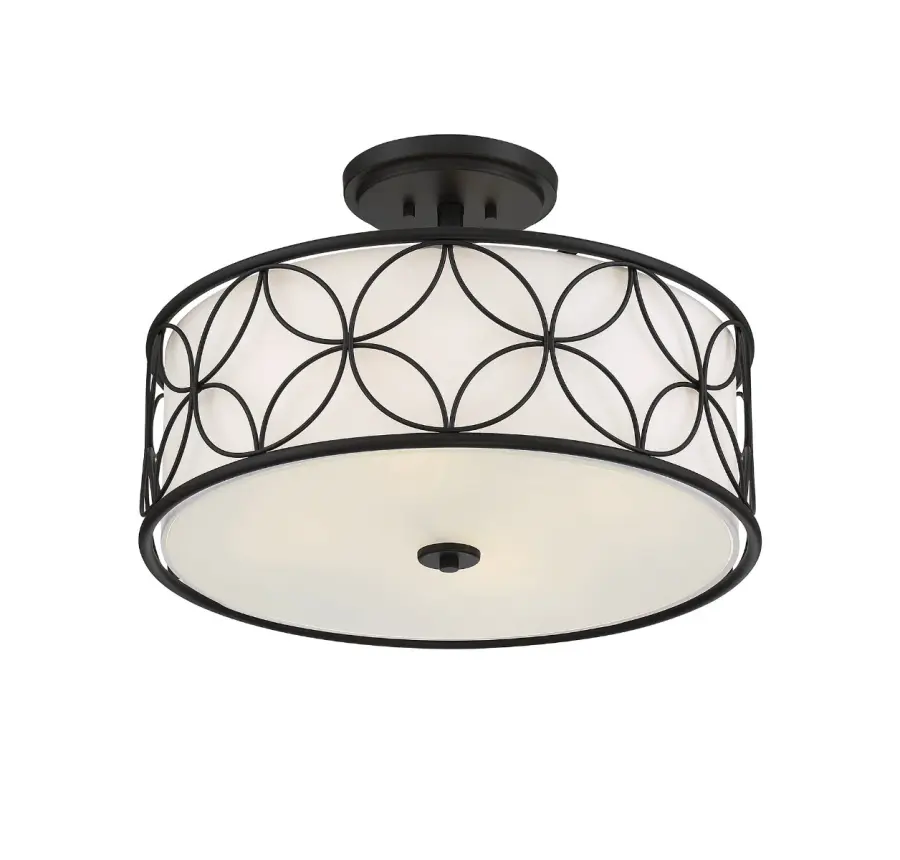 Reid 4-Light Ceiling Light in Matte Black - Image 4