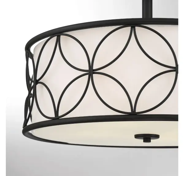 Reid 4-Light Ceiling Light in Matte Black - Image 5