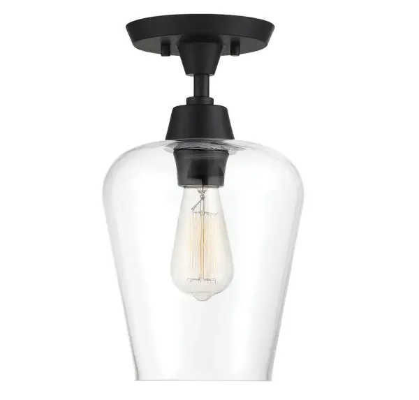 Octave 1-Light Ceiling Light in Black - Image 1