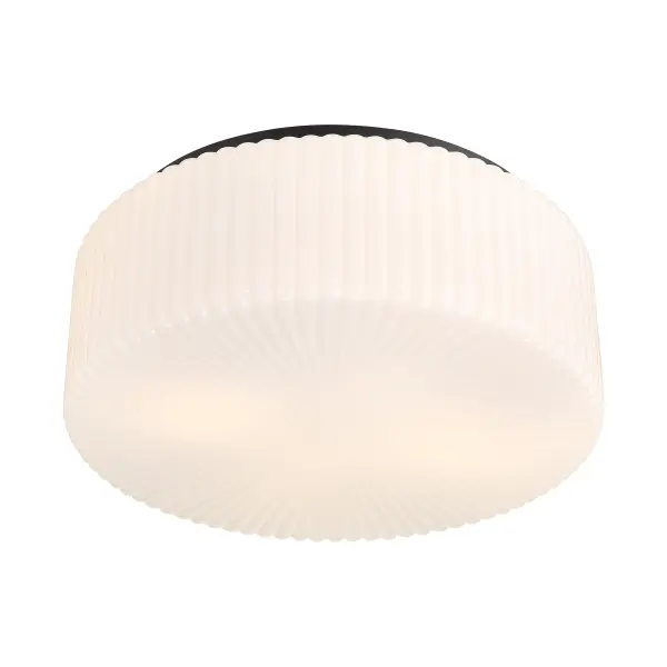 Edgemont 4-Light Ceiling Light in Matte Black - Image 4