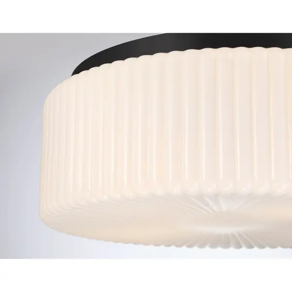 Edgemont 4-Light Ceiling Light in Matte Black - Image 5