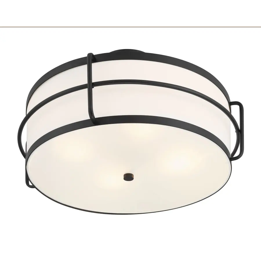 Chauncey 4-Light Ceiling Light in Matte Black - Image 4