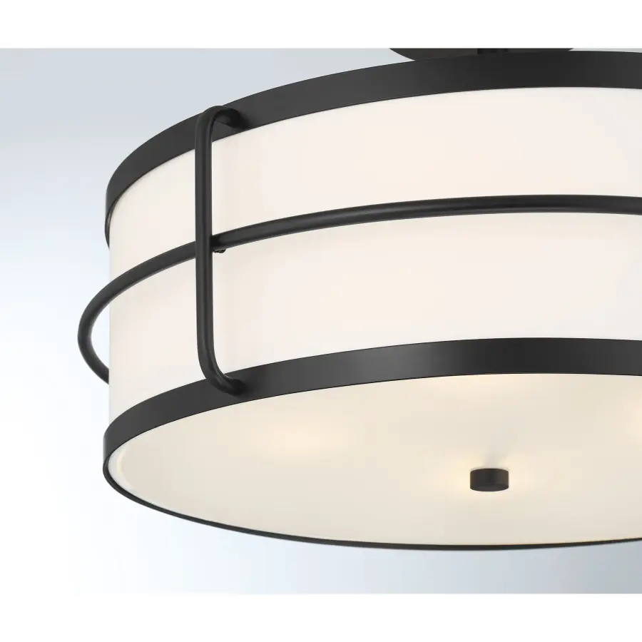 Chauncey 4-Light Ceiling Light in Matte Black - Image 6