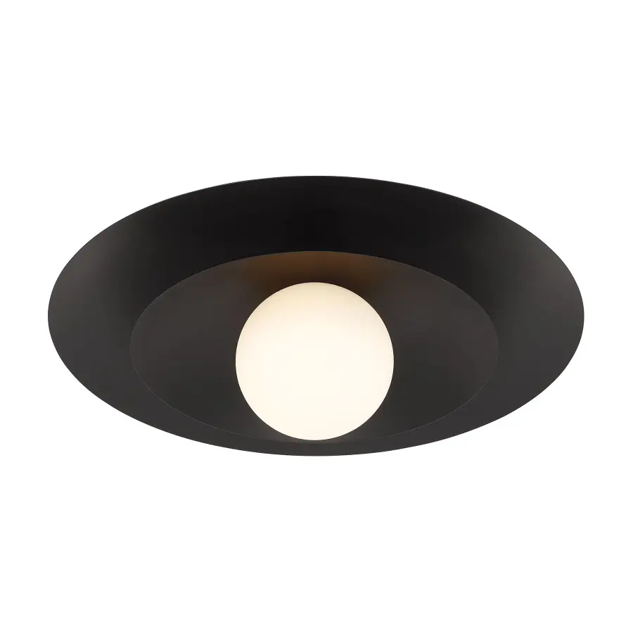 Sherrer 1-Light Ceiling Light in Matte Black - Image 4