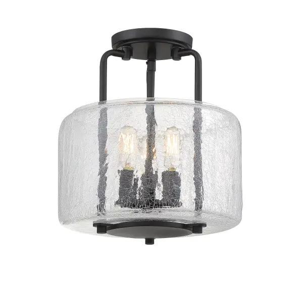 Avalon 3-Light Ceiling Light in Black - Image 1