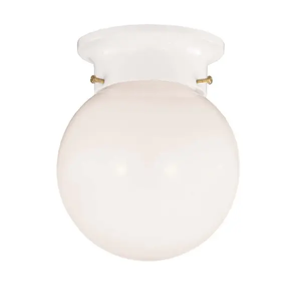 1-Light Ceiling Light in White