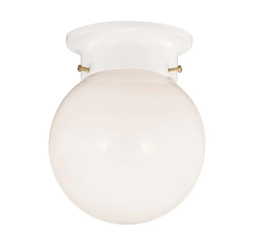 1-Light Ceiling Light in White