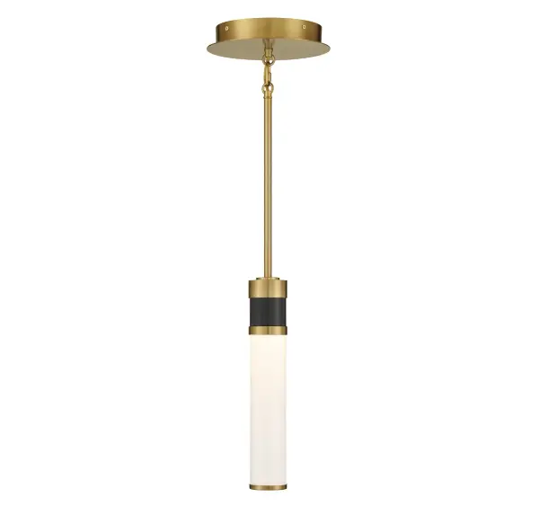 Abel LED Mini-Pendant in Matte Black with Warm Brass Accents