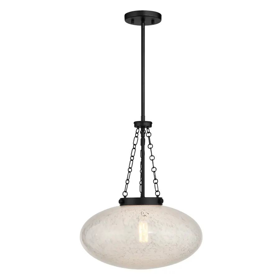 Willow 1-Light Pendant in Matte Black - Image 1