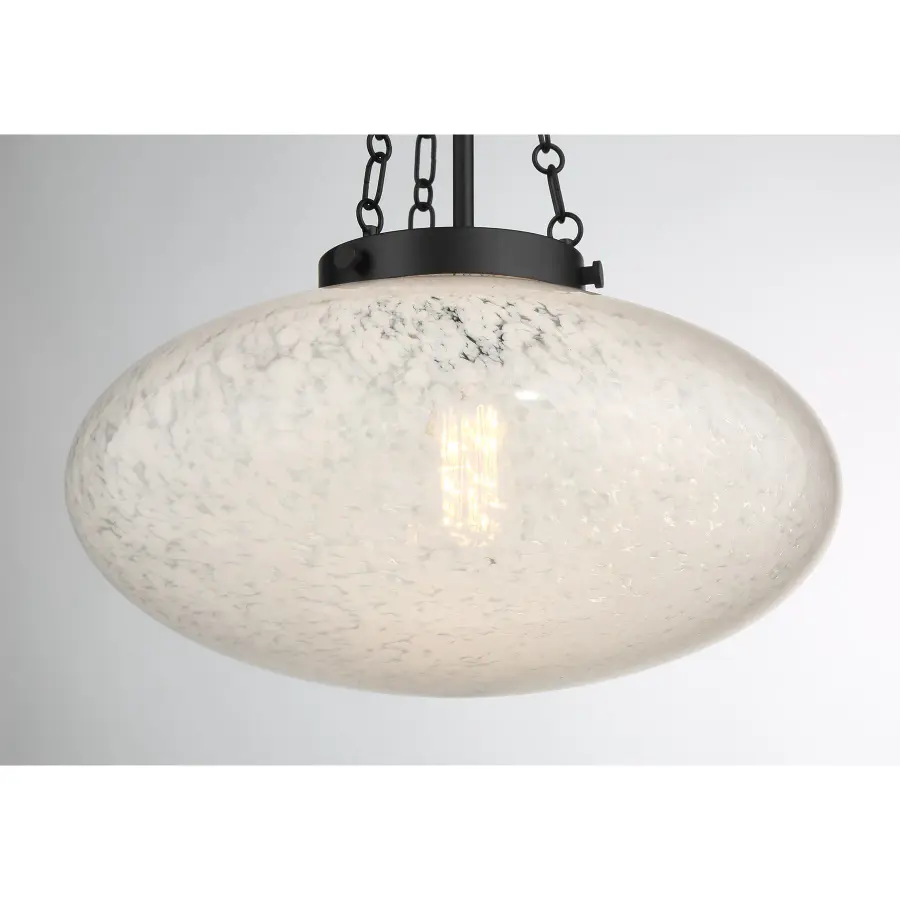 Willow 1-Light Pendant in Matte Black - Image 6