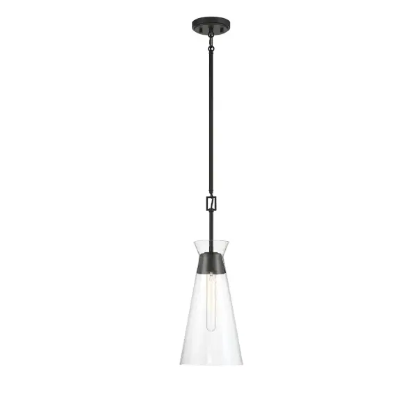 Lakewood 1-Light Pendant in Matte Black