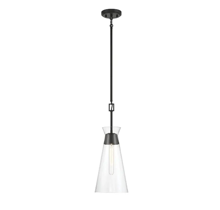 Lakewood 1-Light Pendant in Matte Black - Image 1
