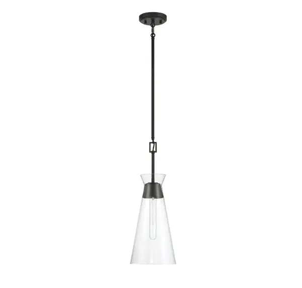 Lakewood 1-Light Pendant in Matte Black - alternate view