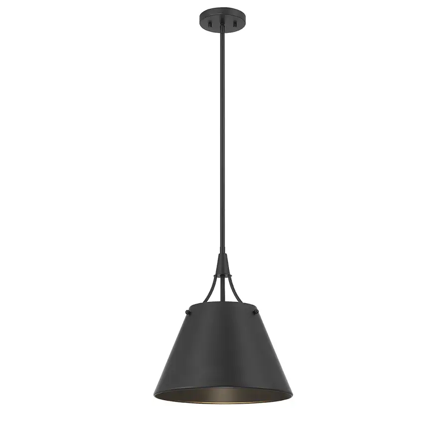 Willis 1-Light Pendant in Matte Black - Image 1