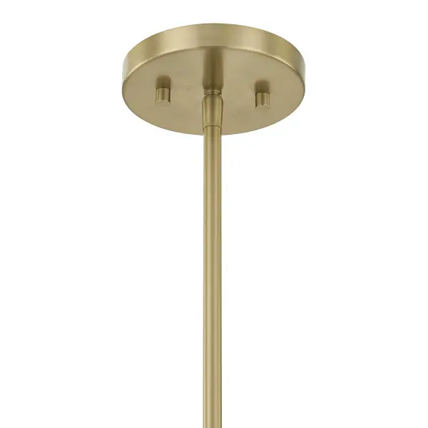 Rosa 4-Light Pendant in Noble Brass - Image 5