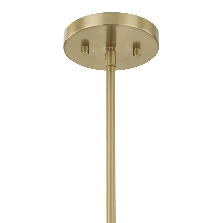 Rosa 4-Light Pendant in Noble Brass - Image 5